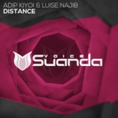 Distance (Festival Mix) artwork