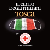 Il canto degli italiani (Per Croce Rossa Italiana) artwork