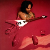 Lenny Kravitz - What Did I Do With My Life?