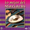 Mariachi México - Las Mañanitas