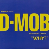 Why? (with Cathy Dennis) [Radio Edit] artwork