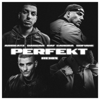 AriBeatz - Perfekt (feat. RAF Camora, Sofiane & Dardan) [Remix] artwork