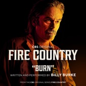 Burn (Music from the CBS Original Series) artwork