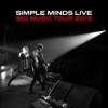 Don't You (Forget About Me) by Simple Minds iTunes Track 16