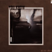 You Know (feat. Priam) [Radio Edit] artwork