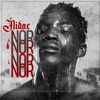 Nidae - Nor Nor