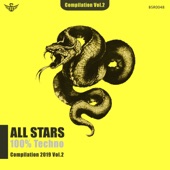 All Stars Compilation 2019, Vol. 2 (One Year Black Snake Recordings) artwork