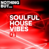 Nothing But... Soulful House Vibes, Vol. 01 artwork
