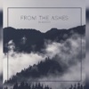 BlauDisS - From the Ashes