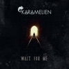 Wait for Me - Single