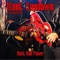 Cool Like a Ted - Hank Sundown & The Roaring Cascades lyrics