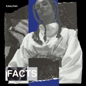 Facts artwork