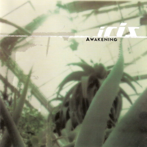 Cover artwork for You're the Answer