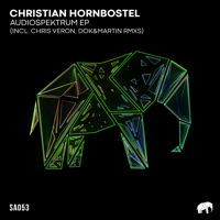 Christian Hornbostel - Audiospektrum artwork