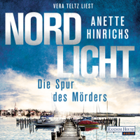 Anette Hinrichs - Nordlicht - Die Spur des Mörders - artwork