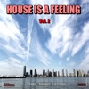 House is a Feeling, Vol. 2