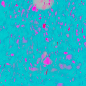 はじめましての気持ちを - Single