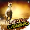 Grupo Laberinto - El Cadete