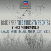 Symphony No. 3 in D Minor, WAB 103 - Ed. Nowak: 1. Gemäßigt, mehr bewegt, misterioso artwork