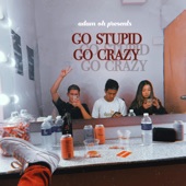 Go Stupid Go Crazy artwork