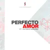 Perfecto Amor (feat. Antonio Sanchez) - Single album lyrics, reviews, download