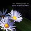 את הפרח שגידלתי - Single