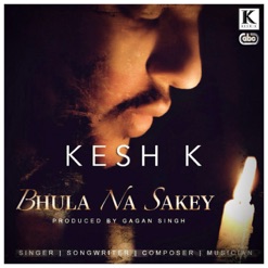 BHULA NA SAKEY cover art