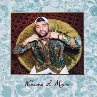 Miami Yacine & Sfera Ebbasta - McQueen artwork