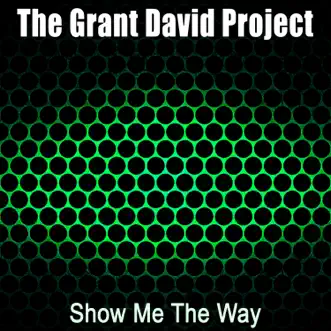 Show Me the Way - Single by The Grant David Project album reviews, ratings, credits