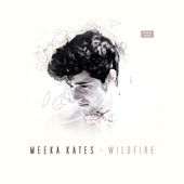 Wildfire - EP artwork