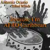 Stream & download Because I'm Afro-Caribbean - Single