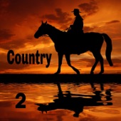 Country 2 artwork