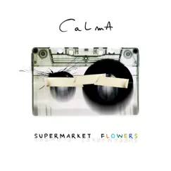 Supermarket Flowers (Cover Version) Song Lyrics