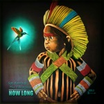 Sgt. Remo & The Vibratones - How Long Dub