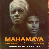 Mahamaya Memories of a Lifetime artwork