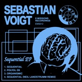 Sebastian Voigt - Sequential- Neil Landstrumm