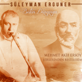 Bütün Dünyaya (Mehmet Akif Ersoy Şiirlerinden Bestelerim) - Süleyman Ergüner