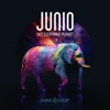Junio - Hole in the Earth