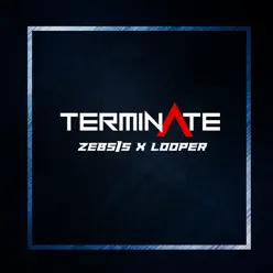 Terminate (feat. ZEBSiS) [Radio Edit] - Single - Looper