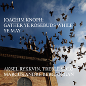 Gather Ye Rosebuds While Ye May - Aksel Rykkvin, Marcus André Berg & Joachim Knoph