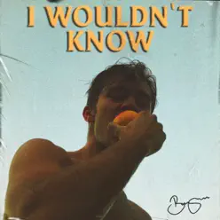 I Wouldn't Know - Single - Benjamin Ingrosso