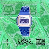 Casio artwork