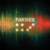 Flanelhed - The Wreck