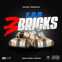 E.S.G. - 3 Bricks artwork