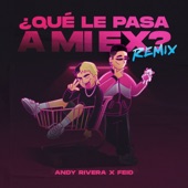 Qué Le Pasa a Mi Ex (Remix) artwork