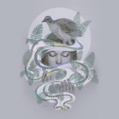Lyrebird artwork