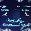 Without You (feat. Rod west) - Single album lyrics, reviews, download
