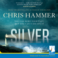 Chris Hammer - Silver artwork