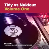 Tidy vs Nukleuz, Vol. 1 (DJ MIX) artwork