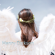 Angel Pink - Henry Dickson
